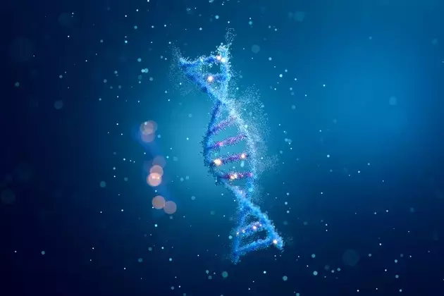 Beam Therapeutics: Base Editing Innovation Amidst Market Dynamics