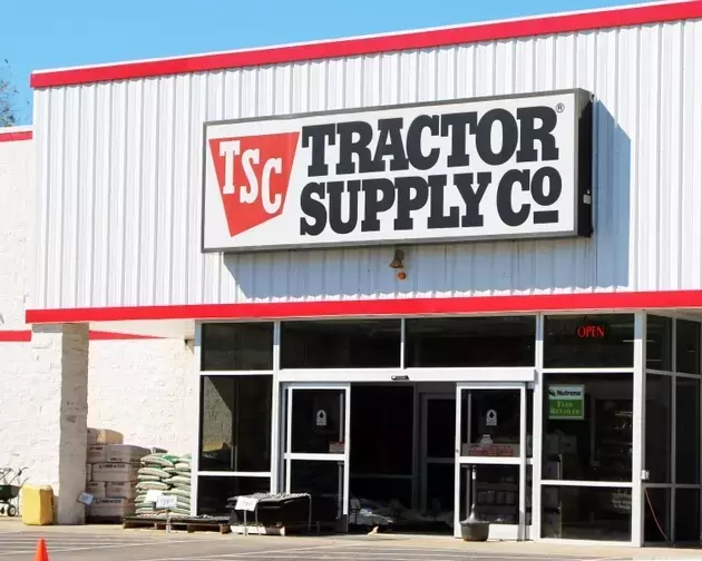 Tractor Supply: Undervalued Growth Opportunity