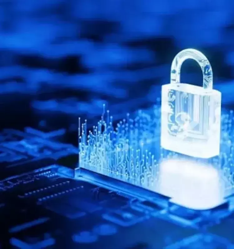 Cybersecurity Stocks Soar: Can Valuations Be Maintained?