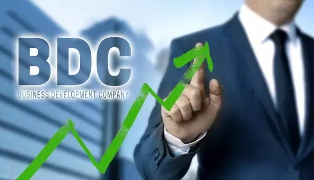 Navigating Private Credit: Redemption Pressures and Portfolio Dynamics in BDCs