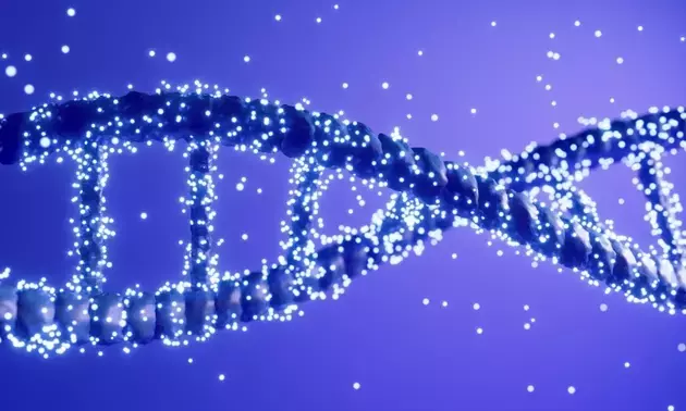 Illumina's Operational Revival: Growth, Margins, and Valuation Outlook