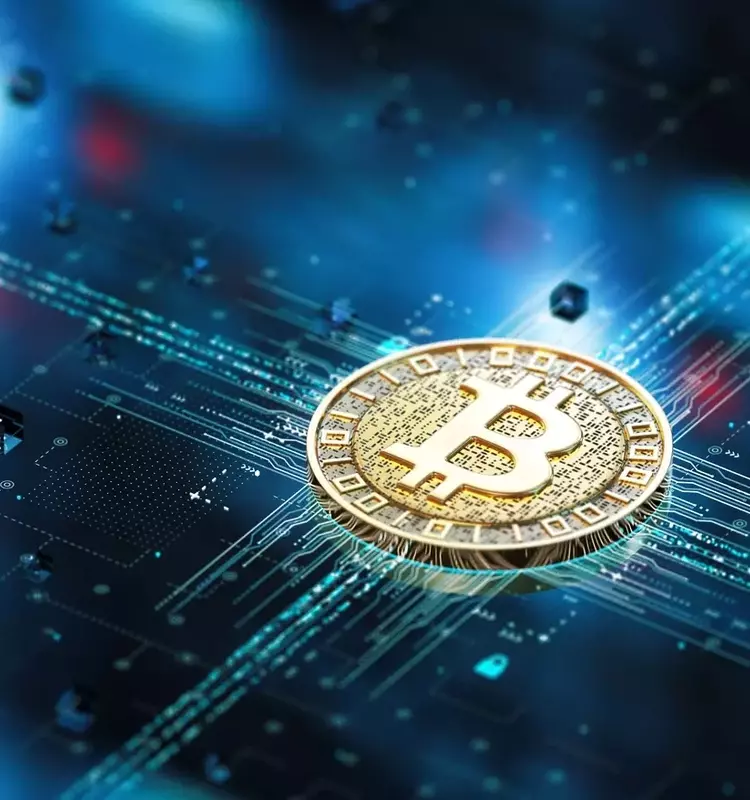 Bitcoin's Bottom Approaches Amidst Market Fear