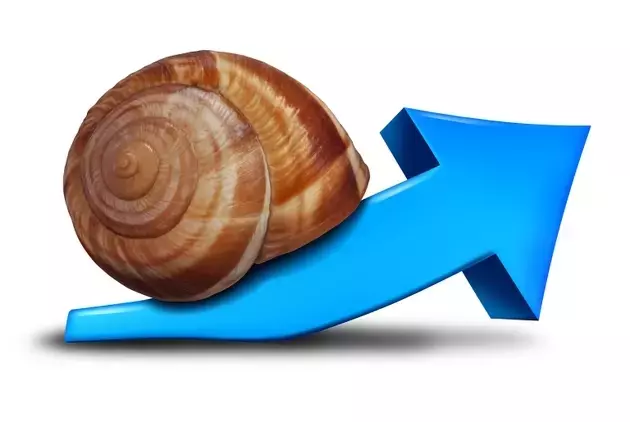 Copart: A Strategic Turnaround with CEO's Return and Strong Financials
