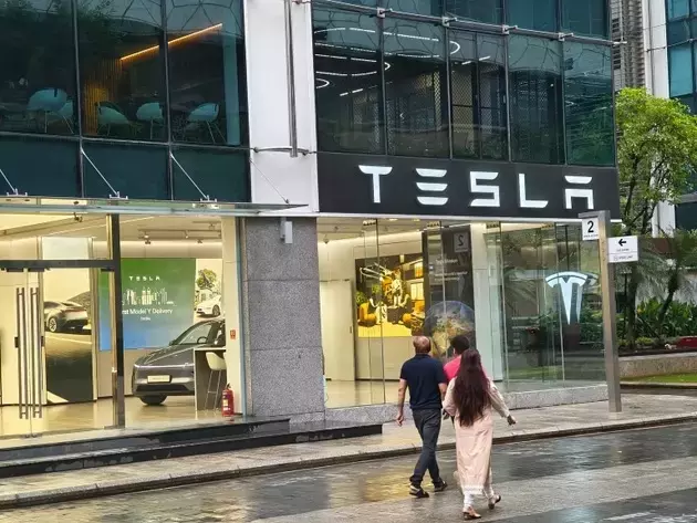 Tesla's Stock Plunge: A Wake-Up Call
