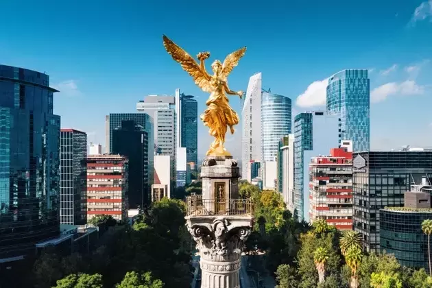 MercadoLibre's Resilient Growth and Future Potential