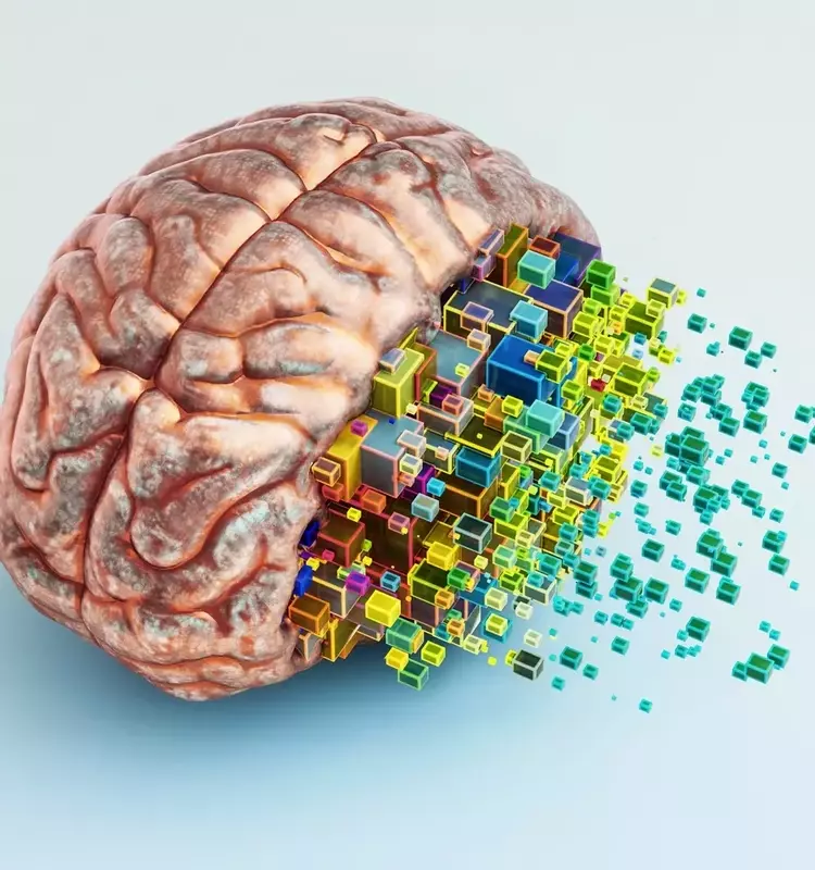 Western Digital: Navigating the AI Surge with Strategic Positioning