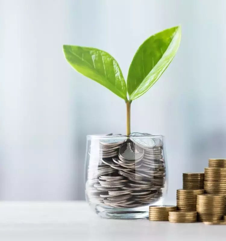 Crafting a Sustainable Dividend Income Strategy for Retirement