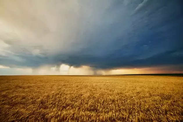 Understanding the Teucrium Wheat Fund ETF (WEAT): A Detailed Analysis