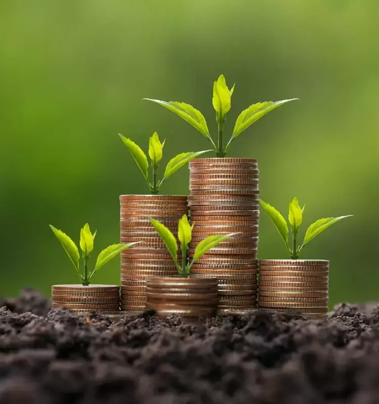 Achieving Early Retirement Through Sustainable High-Yield Dividend Investments