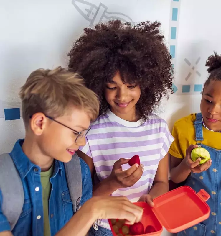 Navigating the Social Dynamics of School Lunchrooms