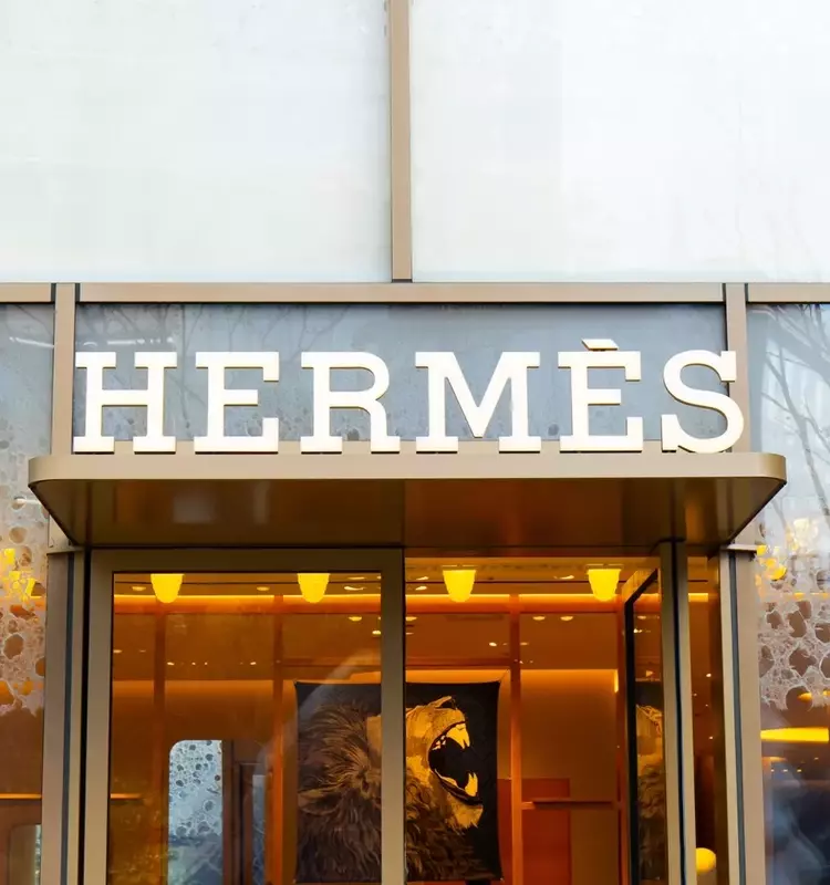 Hermès International: A Trajectory of Continued Growth and Profitability