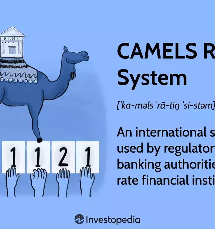 Understanding the CAMELS Rating System in Finance