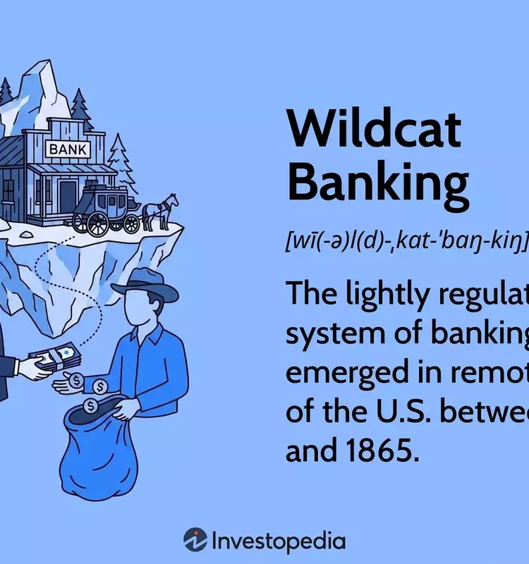 The Era of Unregulated Banking: An Overview of Wildcat Banking