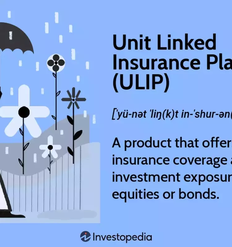 Unit-Linked Insurance Plans: An Integrated Approach to Insurance and Investment
