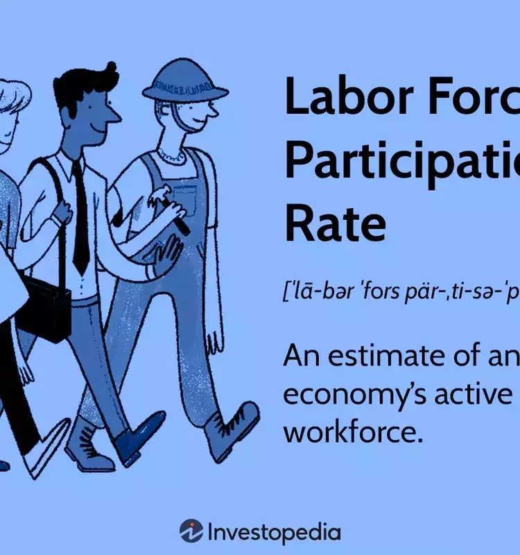 Understanding the Dynamics of Labor Force Participation