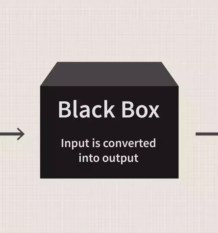 Understanding Black Box Models in Finance and Technology