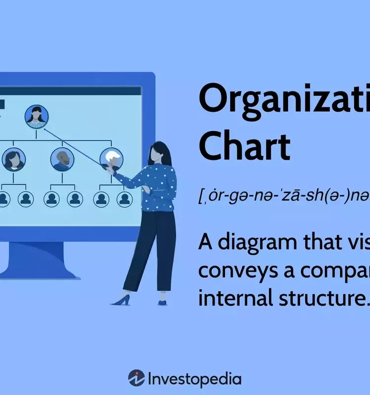 Understanding Organizational Charts: Structure, Types, and Importance