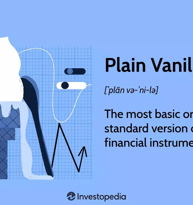 Understanding Plain Vanilla Financial Instruments