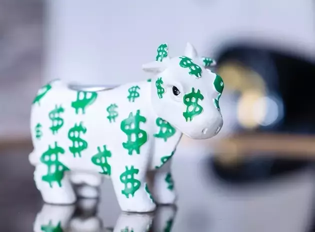 Abercrombie & Fitch: Navigating Challenges with Robust Fundamentals