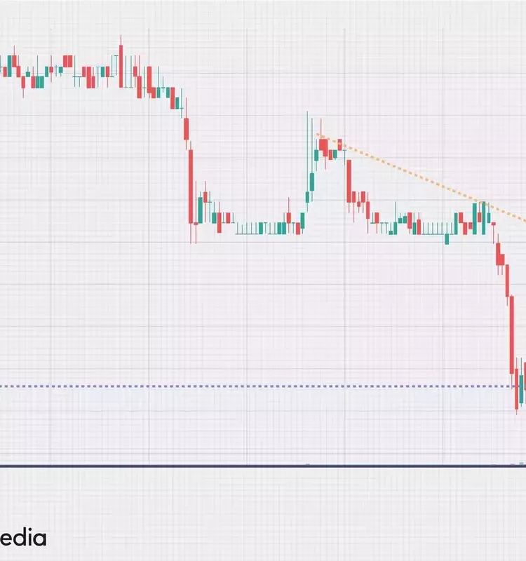 Understanding Bull Traps in Financial Markets