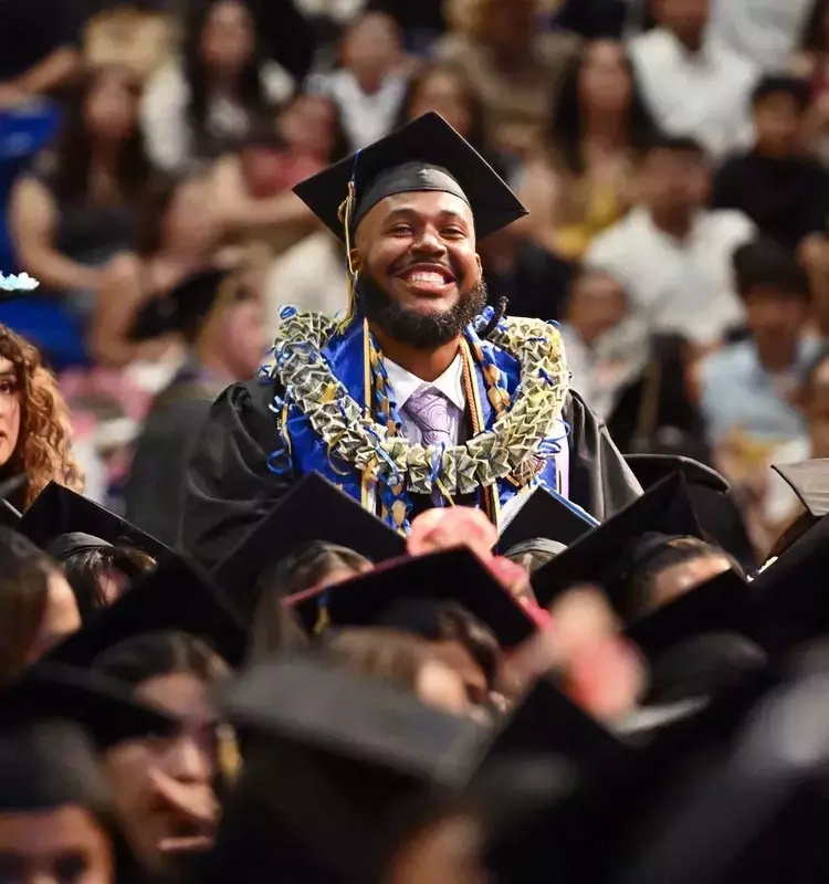 The Financial Edge: How Higher Education Boosts Household Net Worth
