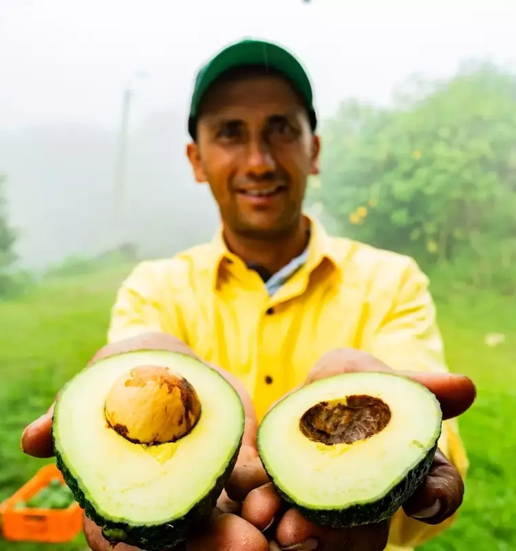 Mission Produce: A Post-Merger Assessment