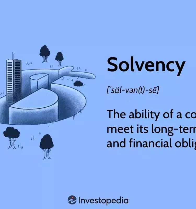 Understanding Solvency: Key Concepts for Financial Stability