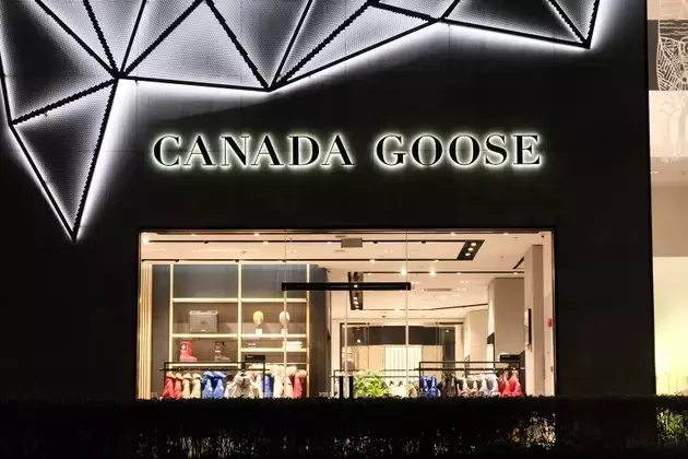 Canada Goose: Navigating Seasonal Shifts and Global Market Dynamics