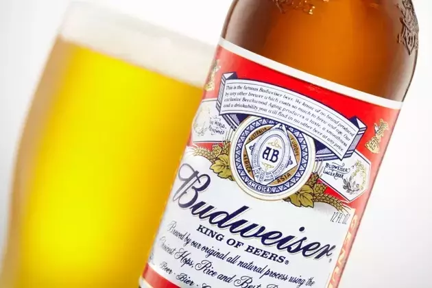 Anheuser-Busch InBev: A Closer Look at Recent Performance and Future Prospects