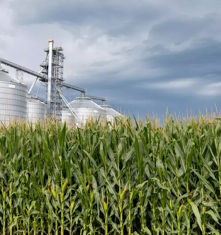 Alto Ingredients: A Promising Investment in Renewable Fuels