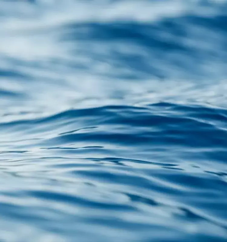 Tetra Tech's Strategic Position in Water Engineering and Consulting