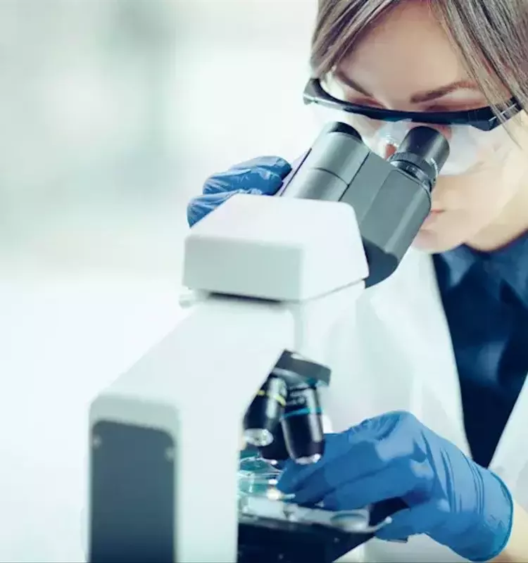 IQVIA's Remarkable Q2 Performance Driven by Clinical Research Backlog