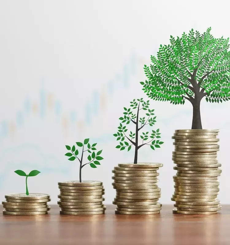 A Prudent Approach to Dividend Growth Investing