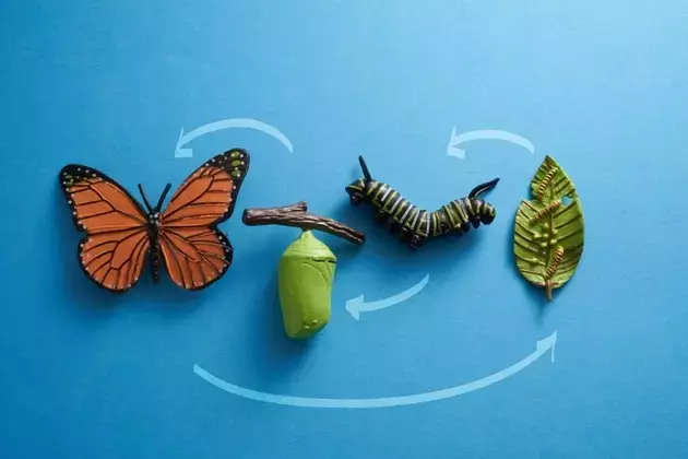 Caterpillar's AI Infrastructure Momentum vs. Valuation Risks