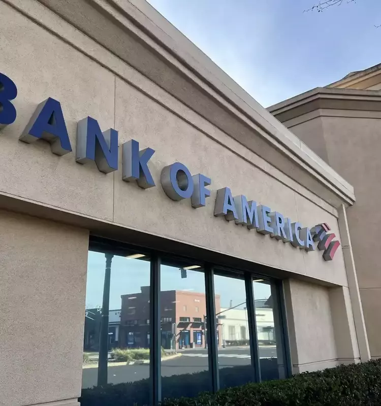 Understanding Bank Financial Statements: Revenue and Regulatory Overview