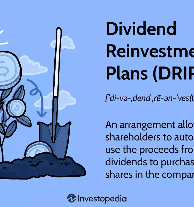Maximizing Investment Returns Through Dividend Reinvestment Plans (DRIPs)