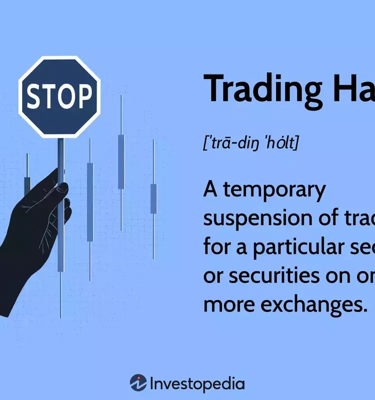 Understanding Trading Halts in Financial Markets