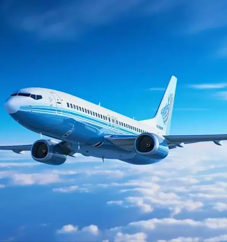 Airline Giants Navigate Fuel Cost Challenges: A Comparative Analysis