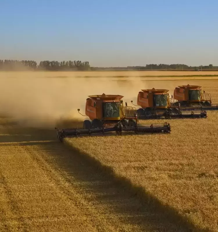 Diversifying Investments: Exploring Opportunities in the Agricultural Sector