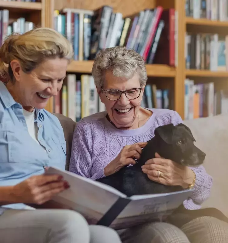 Annuities: A Comprehensive Overview of Retirement Income Strategies