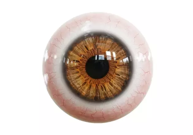 Aura Biosciences: A Deep Dive into Ocular Oncology and Bel-sar's Market Potential