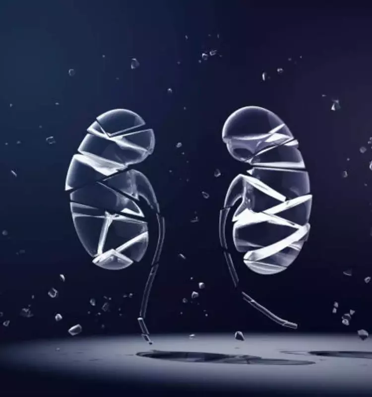 ProKidney's Rilparencel: A High-Stakes Bet on an Unproven Therapy
