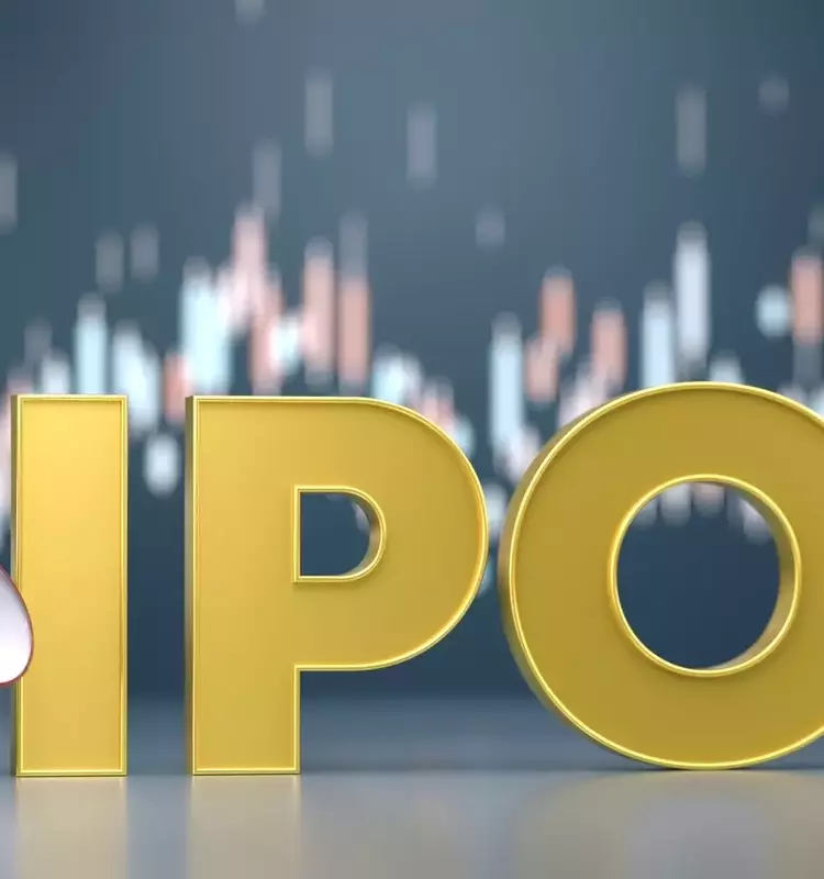 IPO Market Experiences Summer Slowdown with Key Activities Ahead