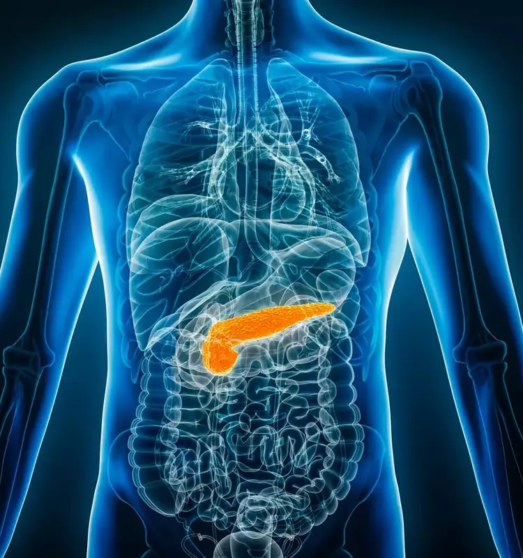 Tango Therapeutics' Vopimetostat Shows Early Promise in Pancreatic Cancer Treatment