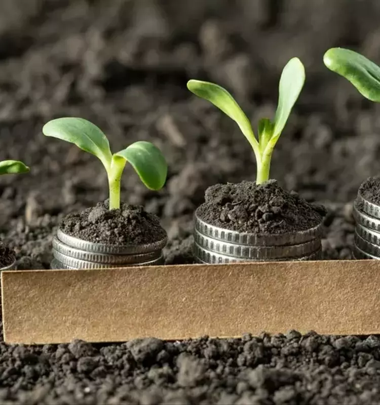 Virtus KAR Small-Mid Cap Growth Fund Q2 Performance Review
