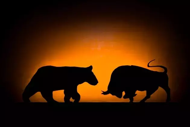 Unraveling the Market Paradox: Bullish Trends Amidst Bearish Global Signals