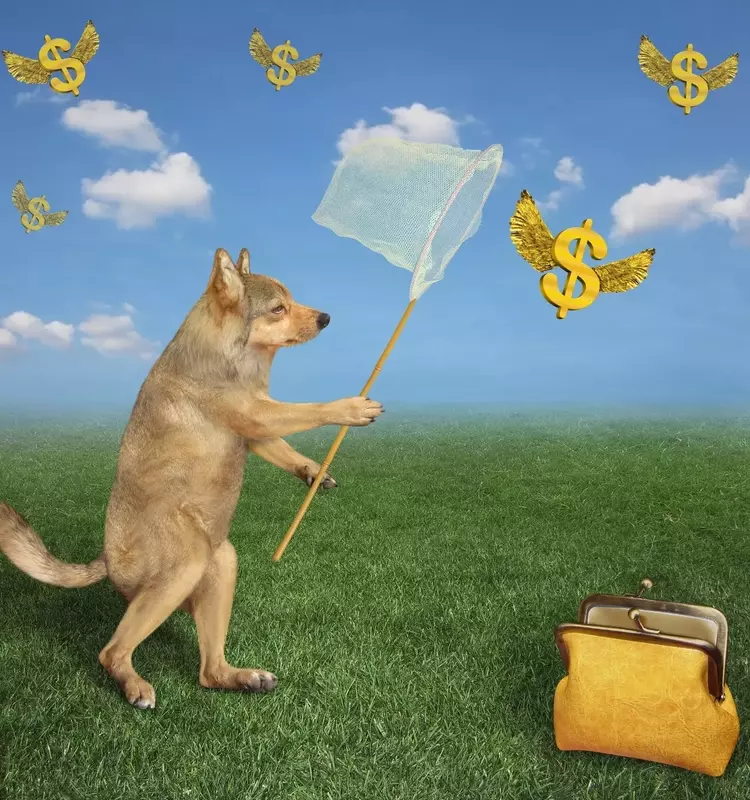 Top Monthly-Paying Dividend Stocks for August 2027