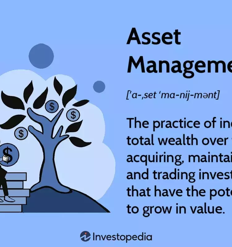 Mastering Wealth: A Comprehensive Guide to Asset Management