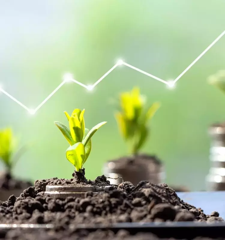 GRW's Q2 2026 Outperformance and Long-Term Strategy