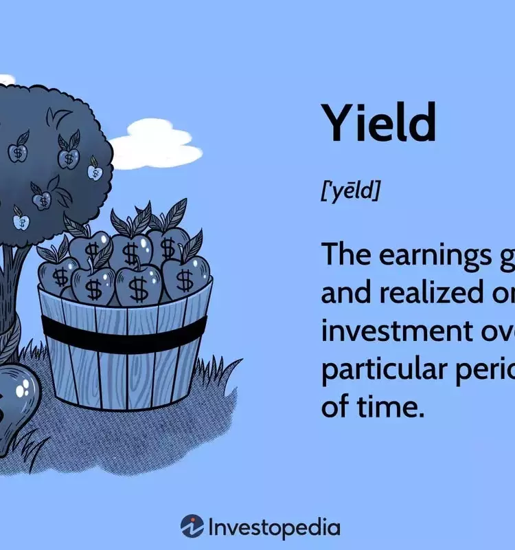 Understanding Investment Yields: A Comprehensive Guide